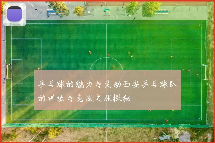 乒乓球的魅力与灵动西安乒乓球队的训练与竞技之旅探秘