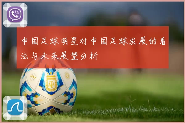 中国足球明星对中国足球发展的看法与未来展望分析