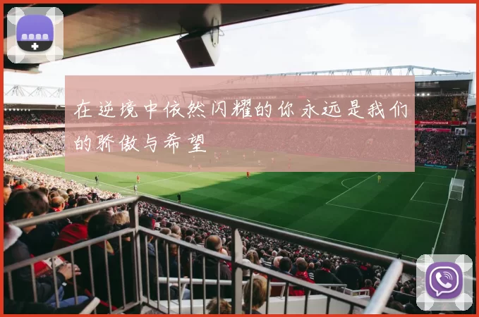在逆境中依然闪耀的你永远是我们的骄傲与希望